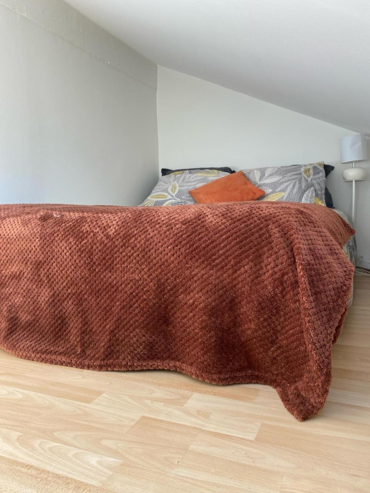 Apartament Petit Nid Cosy - Proche Des Ecoles Et Entreprises Orsay Zewnętrze zdjęcie